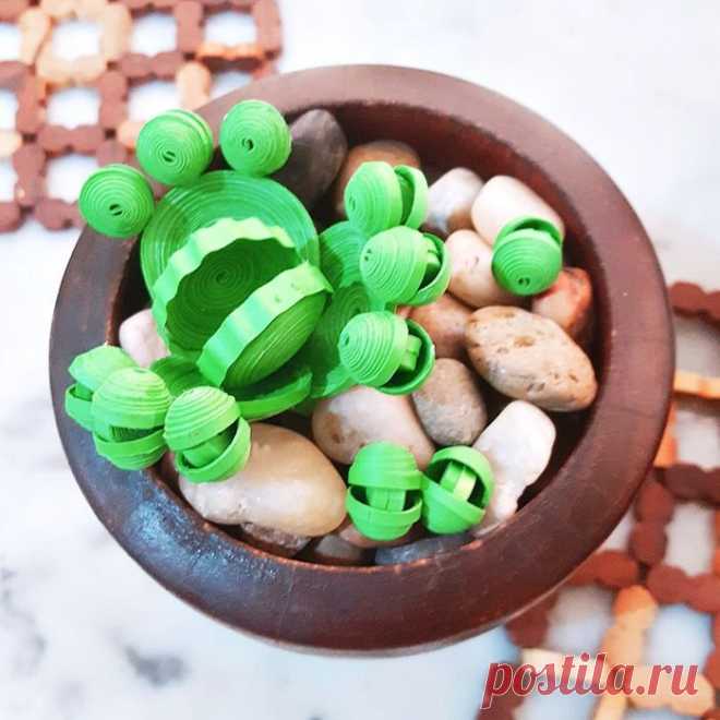Paper Quilling Succulent Garden : 10 Steps (with Pictures)