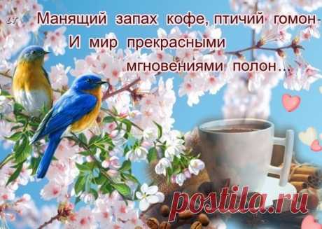Архив открыток отправленных 10 Апреля 2016 года. Добавили: Не Местная Я, U U, Nina Konisidi, Людмила Панченко, Александр , Настенька Иванова, Любовь Оськина, Светлана Тимеева, Леонора Елена Пере, Ро Мио