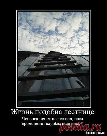 Движение- это жизнь