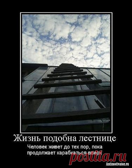 Движение- это жизнь