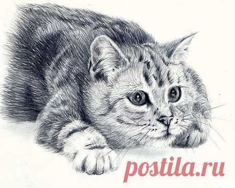 Рисунок карандашом