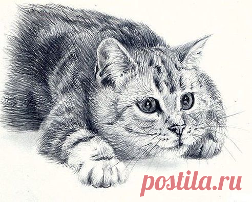 Рисунок карандашом