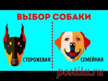 Подпишитесь на AdMe: https://goo.gl/DgUonf ---------------------------------------------------------------------------------------- Полное руководство по поис...