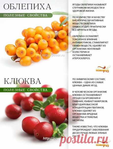 Весна. Авитаминоз? Ягоды вам в помощь