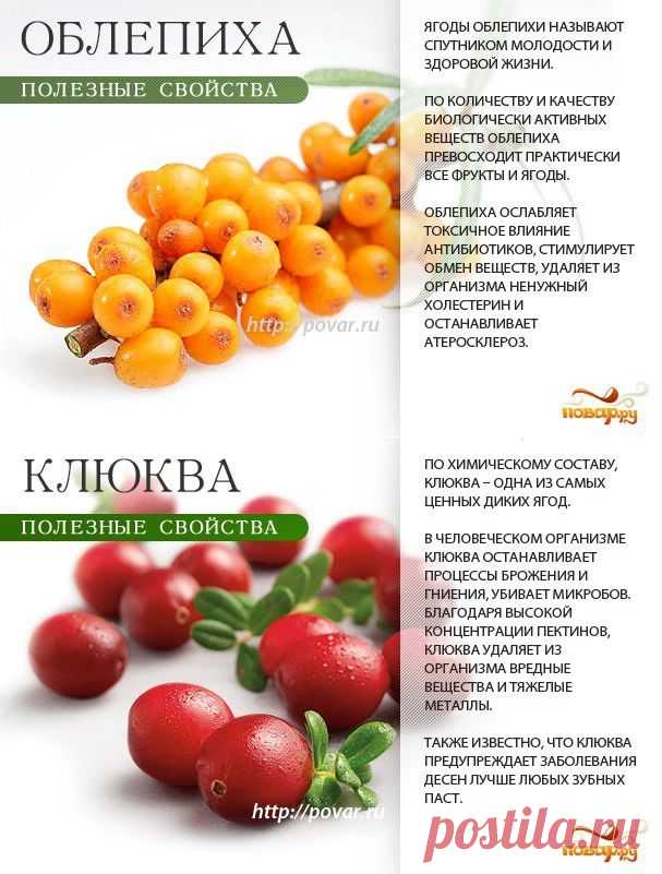 Весна. Авитаминоз? Ягоды вам в помощь