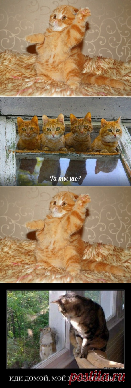 (42) Одноклассники