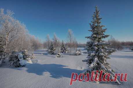 ФОТОМАСТЕРСКАЯ ПРИРОДЫ
Олег Кулябин