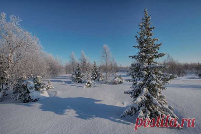 ФОТОМАСТЕРСКАЯ ПРИРОДЫ
Олег Кулябин