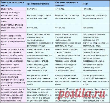 Гниение по пути к тарелке