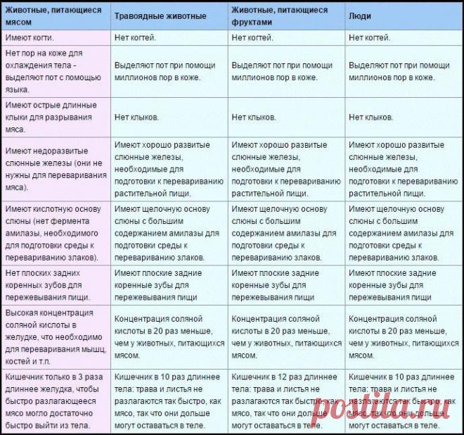 Гниение по пути к тарелке