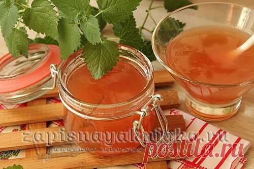 Желе из смородины на зиму