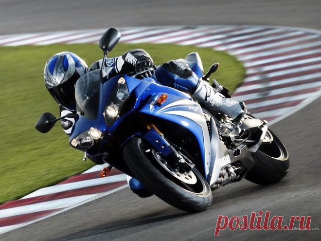 Дневник ZVEROBOY_7968