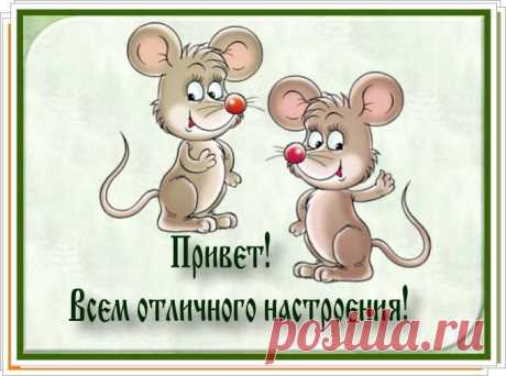 Я пишу и улыбаюсь!
Ты читая — улыбнись!
Я сейчас тебе признаюсь,
К монитору наклонись.
«Не поверишь, но я вижу,
От улыбки твоей свет!
А еще сейчас услышу,
На привет мой — твой привет!