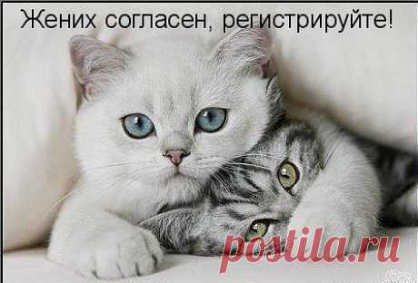 САМАЯ ОБАЯТЕЛЬНАЯ И ПРИВЛЕКАТЕЛЬНАЯ
Татьяна Кузьмина (Скотникова)