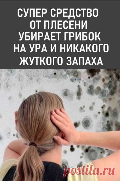 Суперсредство от плесени: убирает грибок на ура и никакого жуткого запаха! Довольна, что нашла #лайфхаки #полезныесоветы #плесень #грибокнастенах