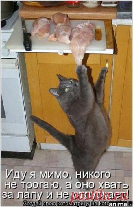 Ну не виноватая я!