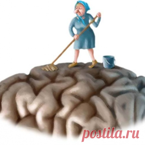 Очищение сосудов головного мозга – уникальные методики