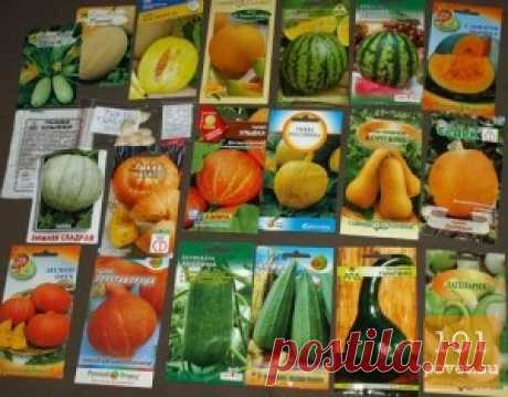 Как правильно хранить семена | 101 полезный совет