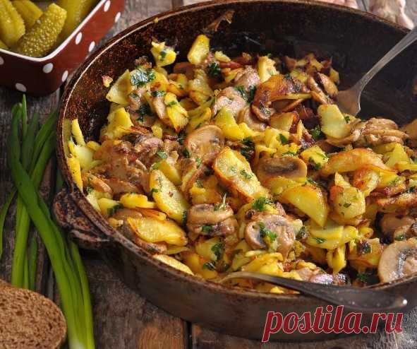 Самые вкусные способы приготовления картофеля с грибами 

1. Жареная картошка с грибами

Ингредиенты
1 луковица;
несколько столовых ложек растительного масла;
500 г грибов;
1 кг картофеля;
соль — по вкусу;
молотый чёрный перец — по вкусу;
1 пучок укропа.

Приготовление

Нарежьте лук небольшими кубиками и обжарьте в сковороде с разогретым маслом. Когда он станет золотистым, добавьте грибы, нарезанные крупными кубиками или пластинками.

Обжаривайте смесь на среднем огне без ...