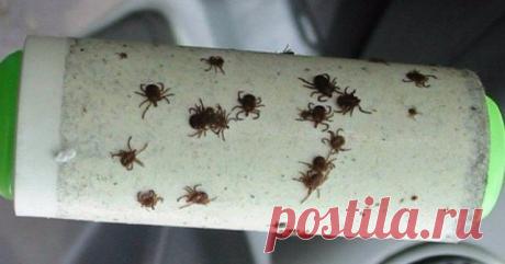 (30) Одноклассники