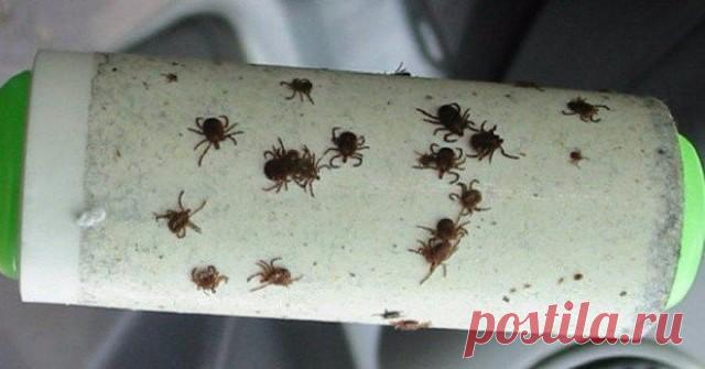 (30) Одноклассники