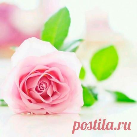 КАКОЙ СЕГОДНЯ ПРАЗДНИК? 31 Июля 2019 г. – Среда • День рождения Гарри Поттера (Harry Potter`s Birthday)39 лет • День вспоминания любимых книжек • Международный день африканской женщины (International Day of African Women) • День военно-морского врача ВМФ РФ • Всемирный день рейнджера (World Ranger Day) • День святого Игнатиуса Лойолы • Празднование чудотворной Калужской иконы Божией Матери • День памяти преподобного Иоанна Печерского, Многострадального • День малинового пирога (National…