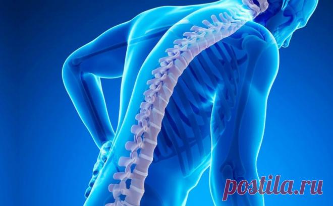 Остеопороз лечение у женщин после 50 лет: признаки, профилактика, лечение препаратами, народными средствами в 40, 60, 55, 45 лет