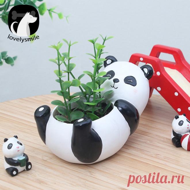 Lovelysmile Hot Stock Mini Panda Desktop Succulent Plants Flower Pot Garden Landscape Decor |