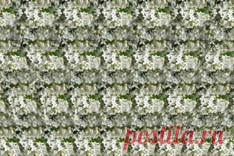 Стереокартинки / Фотошоп и я.