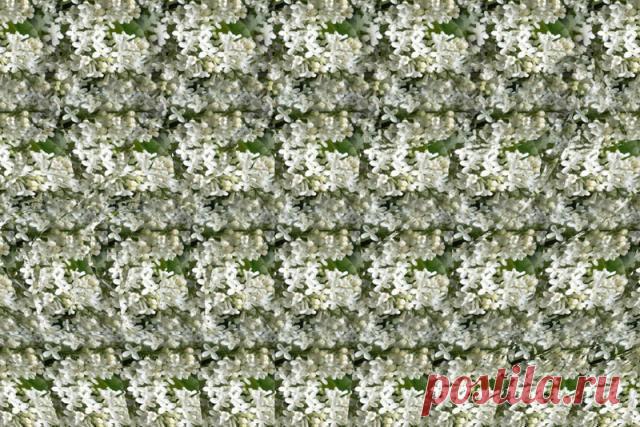 Стереокартинки / Фотошоп и я.