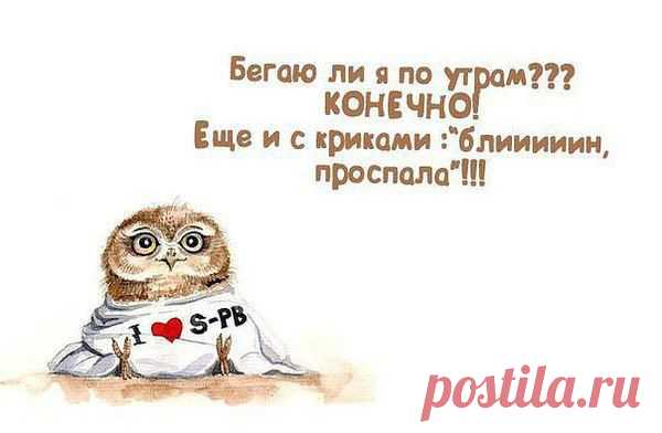 Интересные новости