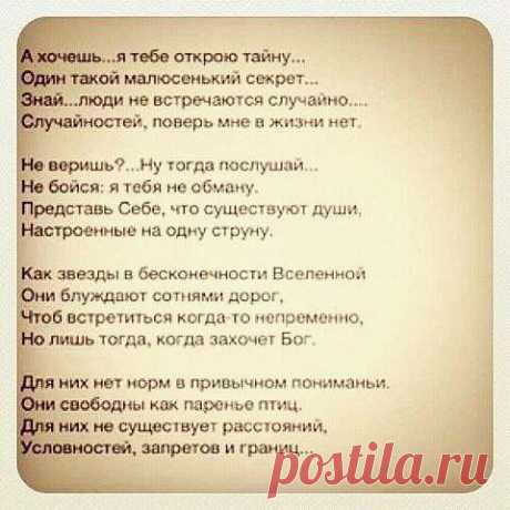 (16) Одноклассники