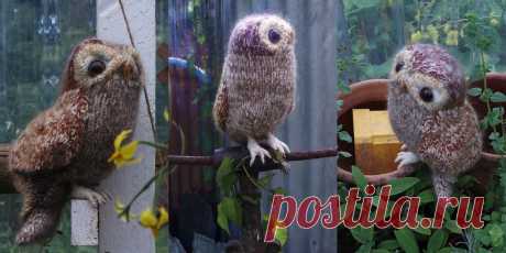 Вязаная спицами сова Tawny Owl - Вяжи.ру