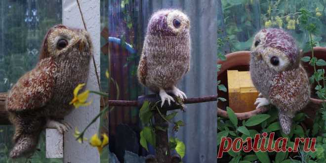Вязаная спицами сова Tawny Owl - Вяжи.ру