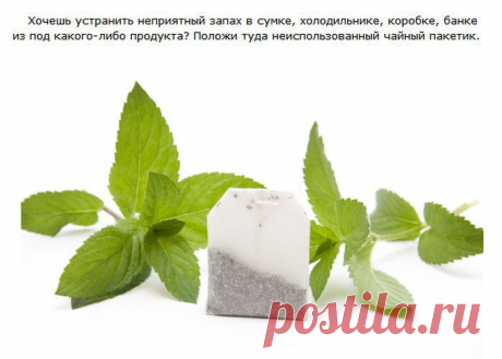 Креативные советы и необычные лайфхаки .
