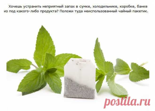 Креативные советы и необычные лайфхаки .