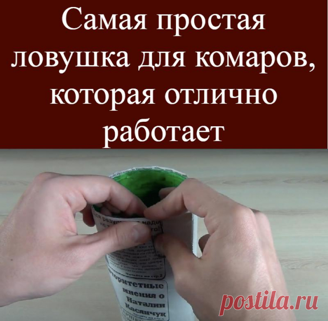 Самая простая ловушка для комаров, которая отлично работает