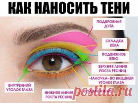 КАК НАНОСИТЬ ТЕНИ 

Шаг 1. Подвижное веко 
Начинать макияж глаз стоит с нанесения основного цвета теней на подвижное веко. Используйте для этой цели нейтральные тени. Они должны быть матовыми или слегка шиммерными (советуем присмотреться к нюдовым палеткам). 

Шаг 2. Складка века 
Далее коричневыми (обязательно матовыми) тенями выделяем складку века, которая находится между вашей подбровной костью и подвижным веком. Это создаст видимость натуральной тени. Плюс ко всему, вы...