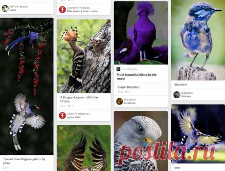 Pinterest: инструмент для поиска и хранения интересных идей