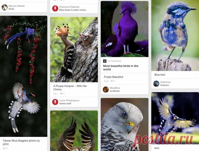 Pinterest: инструмент для поиска и хранения интересных идей
