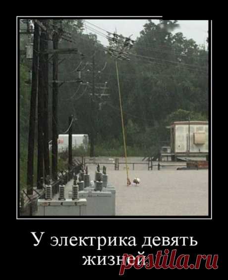 Демотиваторы  (30 фото) . Чёрт побери