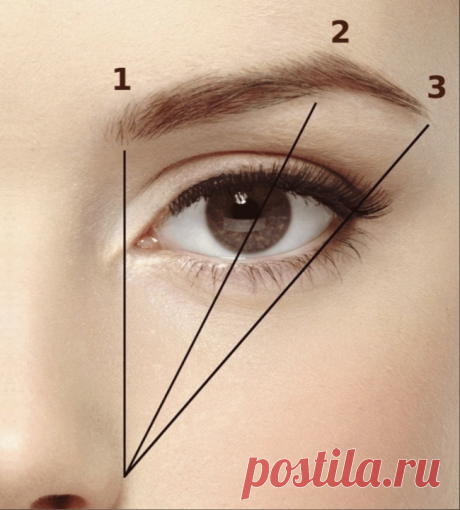 3 рабочих правила в окрашивании бровей дома, которыми даже пользуются мастера (актуально для 50+) | Лизи Визи | Яндекс Дзен