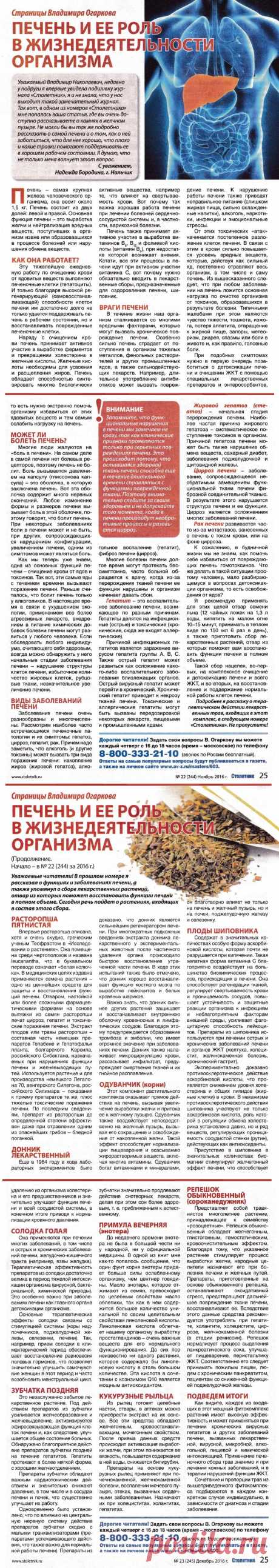 Печень и ее роль в жизнедеятельности организма