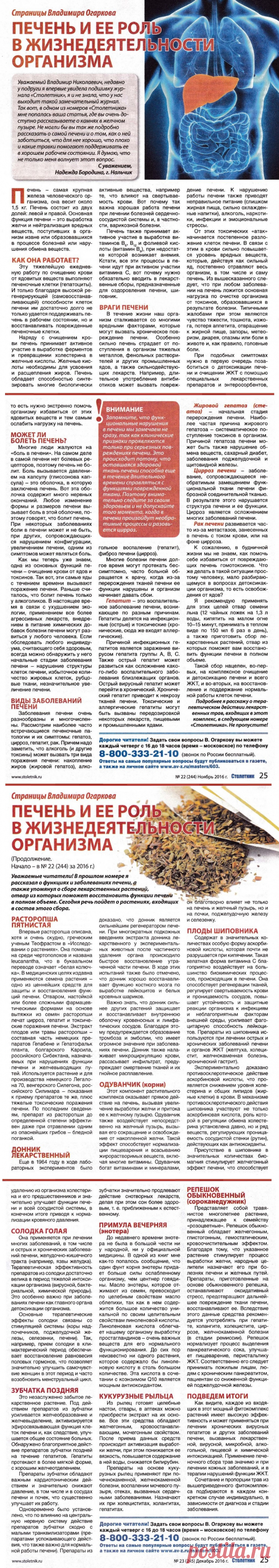 Печень и ее роль в жизнедеятельности организма