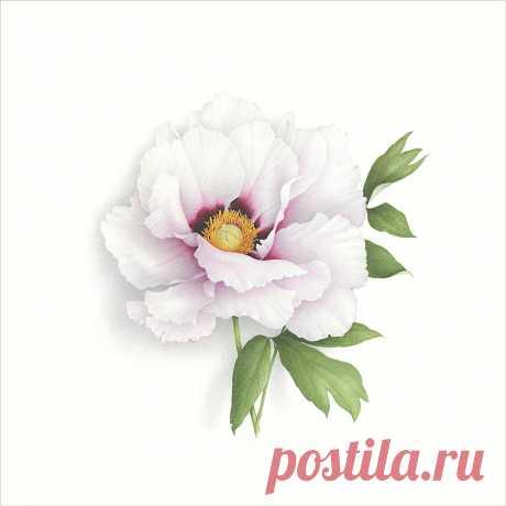 Коллекция картинок: Vincent Jeannerot 2