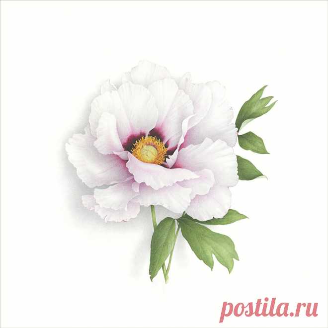 Коллекция картинок: Vincent Jeannerot 2