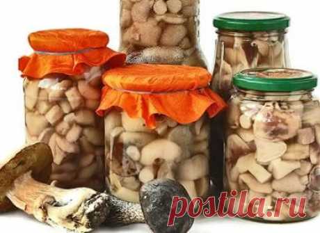 Секреты домашних заготовок » Все для дачи