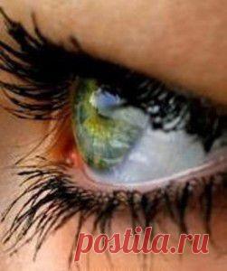 Круги под глазами и мешки под глазами | vita-jizn.net
Круги под глазами, как и мешки под глазами сигнализируют о нашем состоянии. Но не только темные круги под глазами являются индикатором здоровья, а и выражение глаз, покраснение белков, изменение их цвета и мешки под глазами.
12 советов для устранения кругов и мешков под глазами