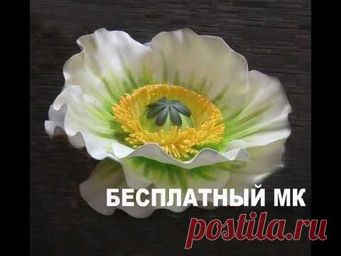 (607) Pinterest