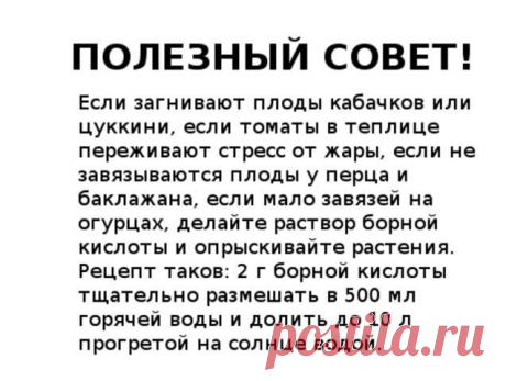 #таблица